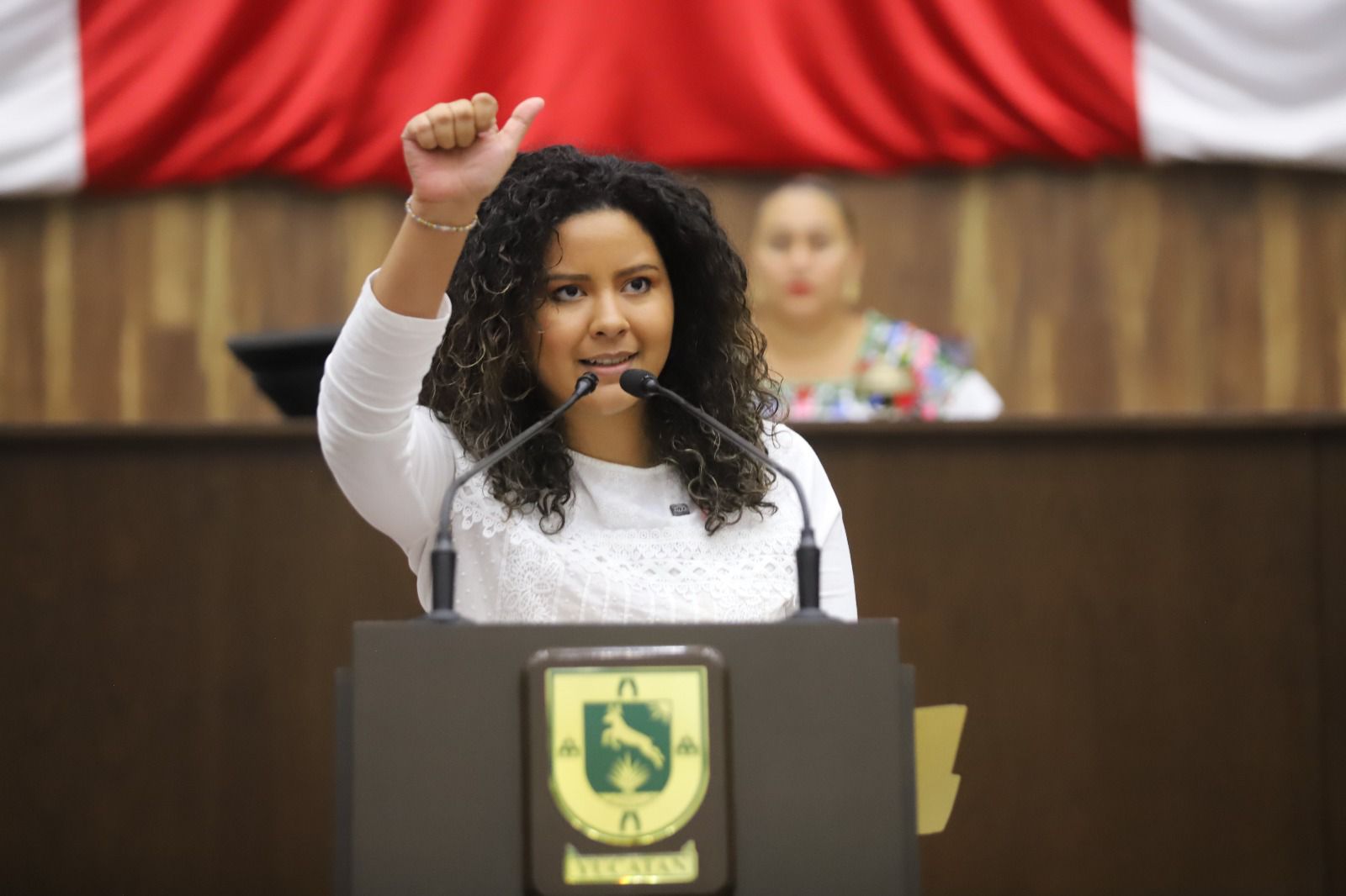 Crearán el Instituto de Transparencia para el Pueblo