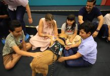 Mérida impulsa atención al autismo con perros de apoyo emocional Centro Municipal de Autismo, De la Calle al Corazón, Mérida, perros de apoyo emocional, bienestar animal, inclusión.