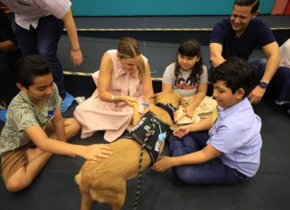 Centro Municipal de Autismo, De la Calle al Corazón, Mérida, perros de apoyo emocional, bienestar animal, inclusión.
