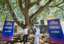 Mérida declara su Árbol Patrimonio Verde número 200 Mérida declaró su Árbol Patrimonio Verde número 200. Se trata de un algarrobo negro ubicado en la colonia México.