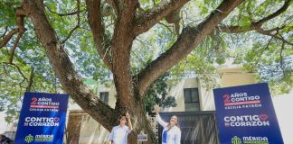 Mérida declaró su Árbol Patrimonio Verde número 200. Se trata de un algarrobo negro ubicado en la colonia México.
