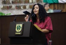 Proponen sustituir topes por cruces seguros en escuelas