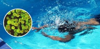 Personal sanitario durante la investigación de un probable caso de meningoencefalitis amebiana en Mérida.