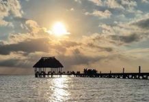 Detectan cafeína en la laguna de Chelem y peces con hígado dañado